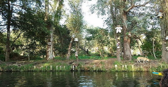 Pasaulio vietos