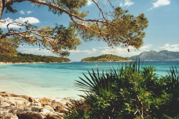 Cala