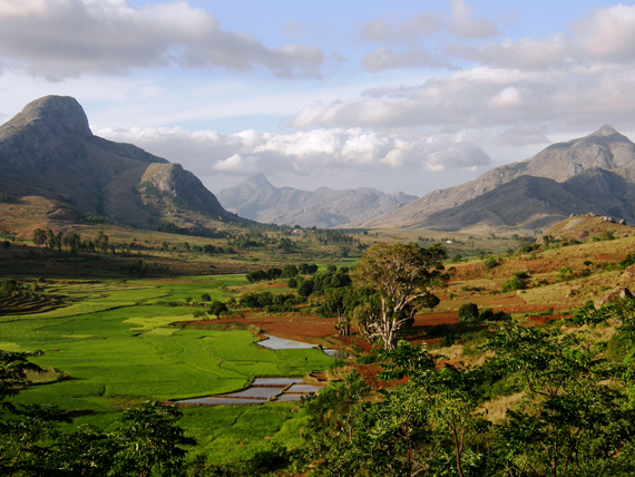 Madagaskaro kraštovaizdis
