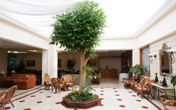 AVLIDA HOTEL 4*, Kipre